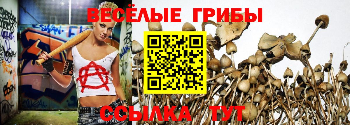Псилоцибиновые грибы Cubensis Электросталь