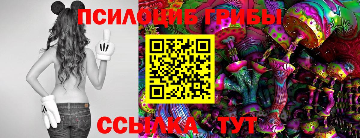 Электросталь  Галлюциногенные грибы Psilocybine cubensis  Вход с VPN 